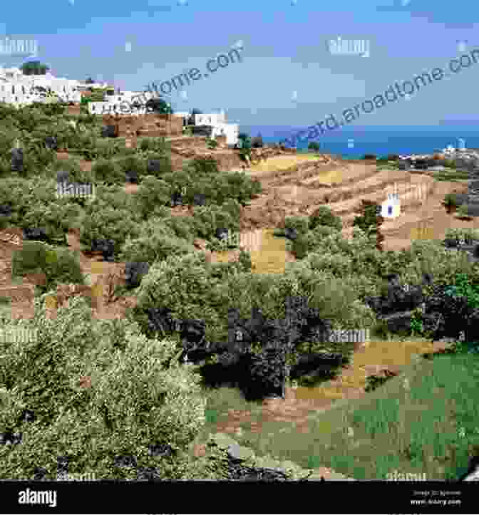 A Breathtaking Landscape Of Sifnos, Featuring Rolling Hills, Olive Groves, And A Traditional Whitewashed Village In The Distance. The Greek House: The Story Of A Painter S Love Affair With The Island Of Sifnos