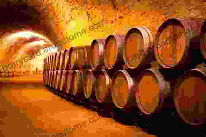 A Cellar Filled With Aged Wines, Conveying The Rich History And Tradition Associated With Winemaking Drinking Wine Is Simple: A Beginners Guide To Wine Appreciation