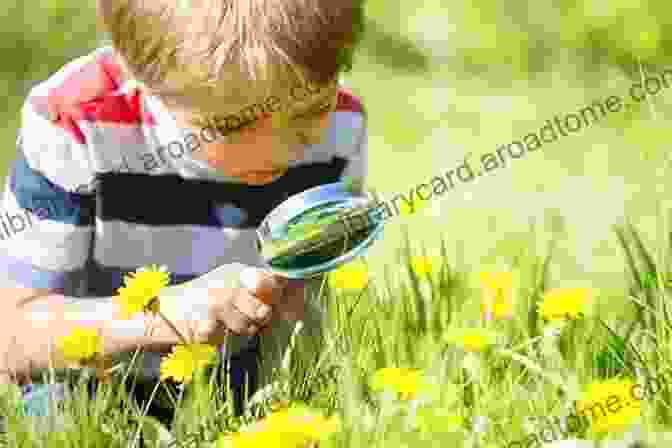 A Child Exploring Flowers In Nature, Representing The Inspiration Fostered By 'My First Book Of Flowers'. My First Of Flowers: An Easy To Read Picture Guide To 50 Types Of Flowers