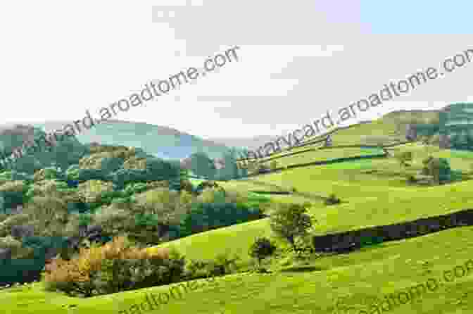 A Panoramic View Of The Stunning Lake District Landscape, With Rolling Hills, Lush Greenery, And A Sparkling Lake In The Foreground. Wild Fell: Fighting For Nature On A Lake District Hill Farm