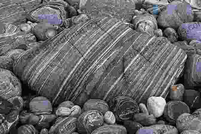 A Photograph Of Various Metamorphic Rocks, Showcasing Their Diverse Textures And Colors. The Field Description Of Metamorphic Rocks (Geological Society Of London Handbook Series)