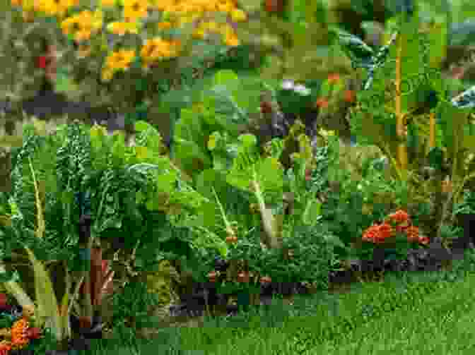 A Thriving Raised Bed Garden Filled With Healthy Vegetables And Fruit The Suburban Grower: Sustainable DIY Raised Bed Gardening That Produces Thriving Fruit And Vegetables From The First Harvest