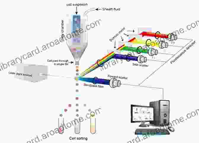 Advanced Flow Cytometry Techniques Flow Cytometry: First Principles Alice Longobardi Givan