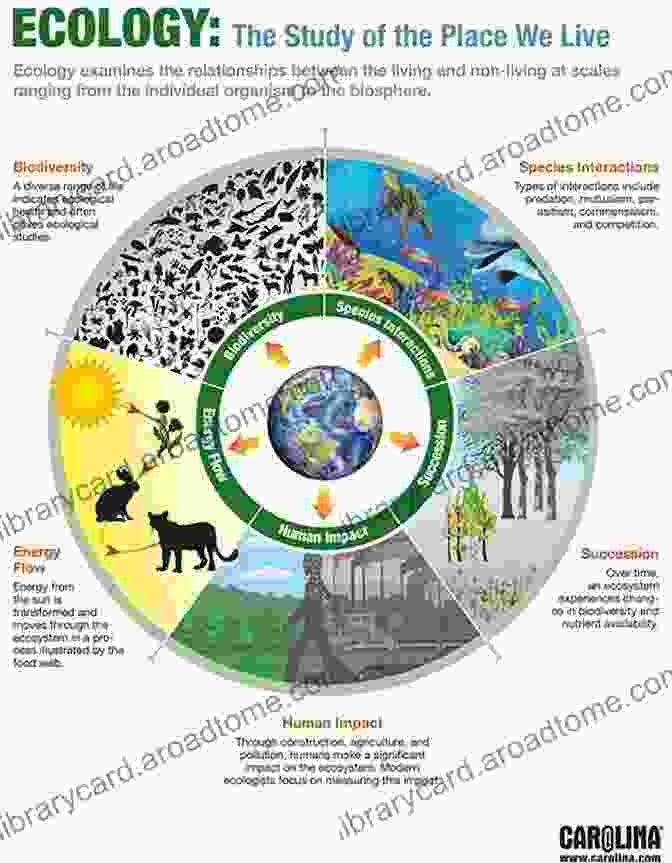 An Image Of A Diverse Ecosystem Showcasing The Intricate Relationships Between Organisms And Their Environment. Environmental Science William Harvey