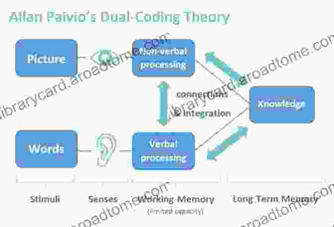 Applications Of The Dual Coding Theory In Education Mind And Its Evolution: A Dual Coding Theoretical Approach