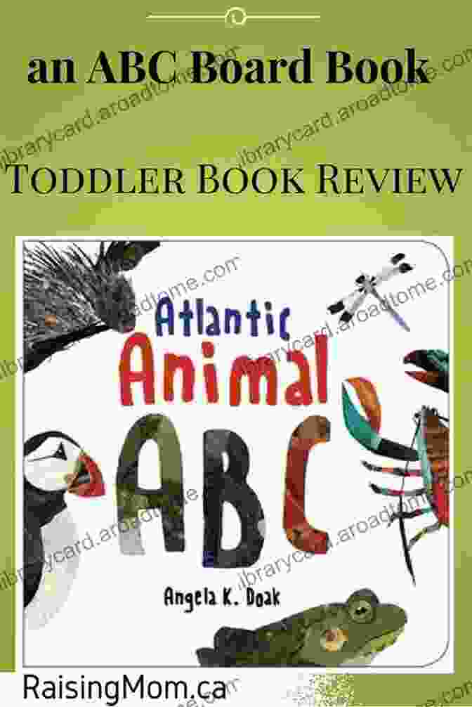 Atlantic Animal ABC Book Cover Atlantic Animal ABC John Seven