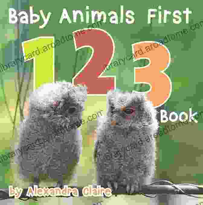 Baby Animals First 123 Book Cover Baby Animals First 123 (Baby Animals First 1)