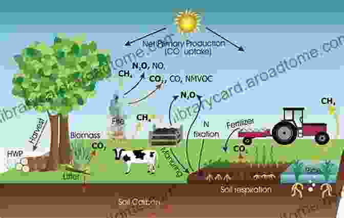 Biochar Production Process The Biochar Solution: Carbon Farming And Climate Change