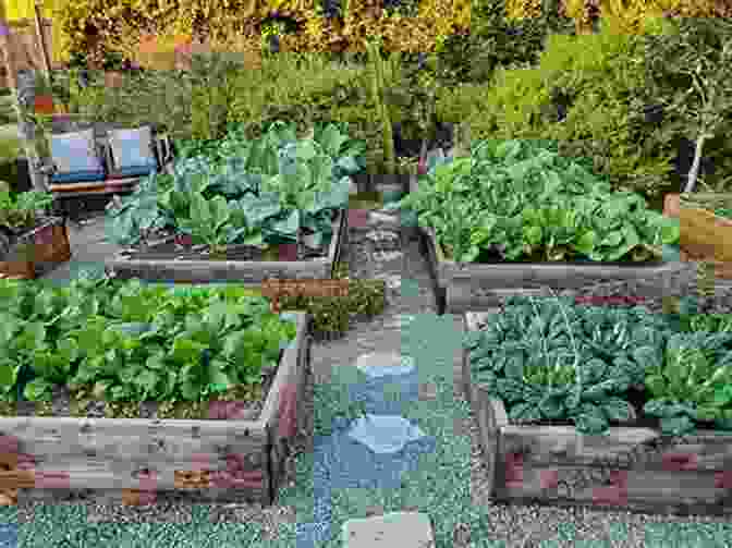 Charles Dowding's Veg Journal: No Dig, No Till Gardening For Year Round Abundance Charles Dowding S Veg Journal: Expert No Dig Advice Month By Month