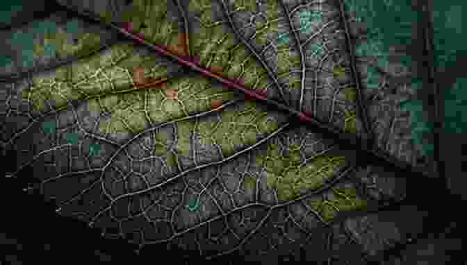 Close Up Of A Leaf With Intricate Veins And Vibrant Colors, Revealing The Beauty In The Mundane Architecturally Speaking: Practices Of Art Architecture And The Everyday