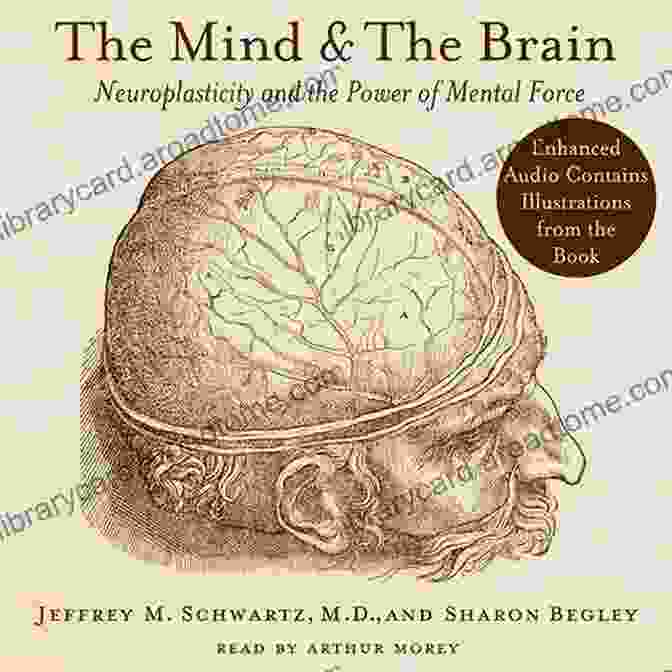 Cover Of 'The Mind And The Brain: Psychology Revivals' The Mind And The Brain (Psychology Revivals)