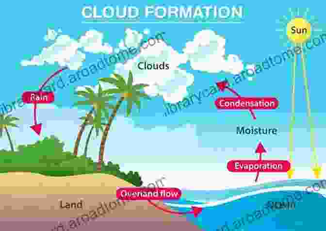 Diagram Of Cloud Formation Process The Weather Handbook: An Essential Guide To How Weather Is Formed And Develops