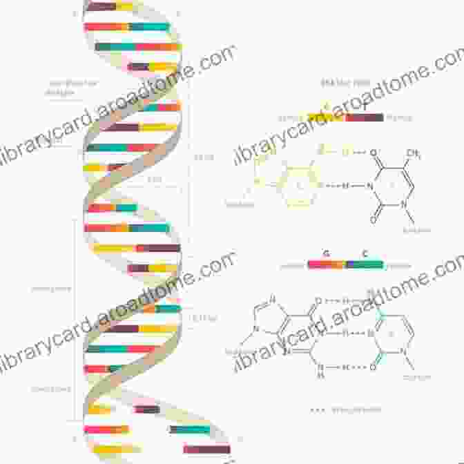 DNA Structure With Double Helix Guide To E Science: Next Generation Scientific Research And Discovery (Computer Communications And Networks)