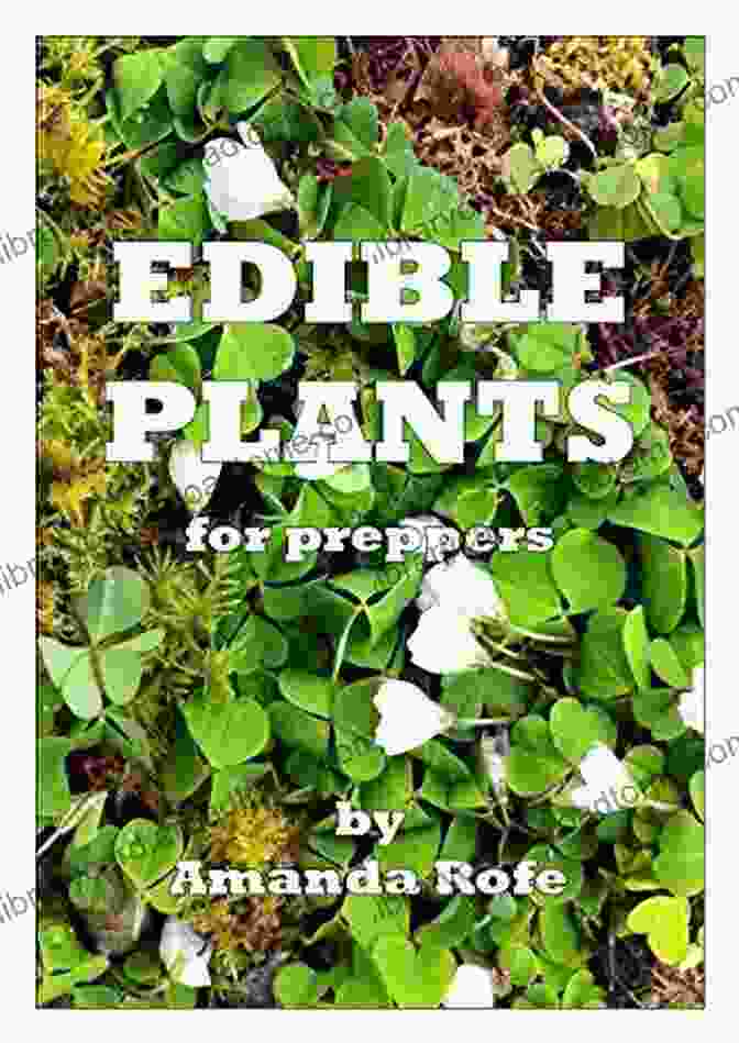 Edible Plants For Preppers Book Cover Edible Plants For Preppers Amanda Rofe