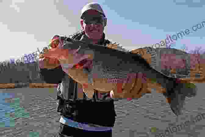 Fisherman Holding A Large Bass Caught In The Brazos River Exploring The Brazos River: From Beginning To End (River Sponsored By The Meadows Center For Water And The Environment Texas State University)