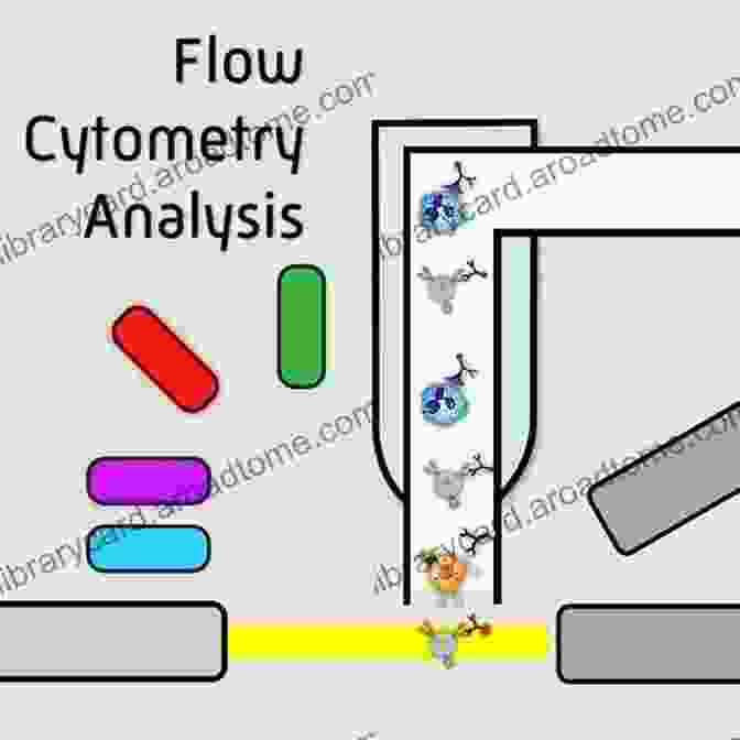 Flow Cytometry Education Flow Cytometry: First Principles Alice Longobardi Givan