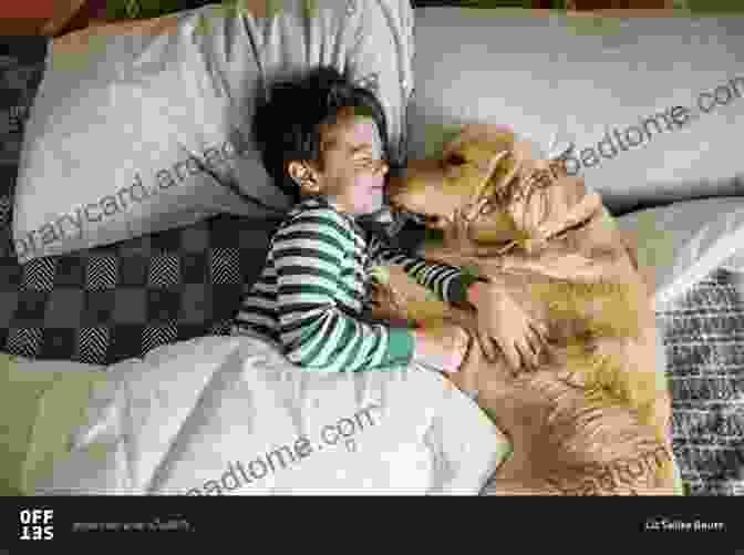 Golden Retriever Cuddling With Its Owner On A Couch The Complete Golden Retriever Handbook (Canine Handbooks)