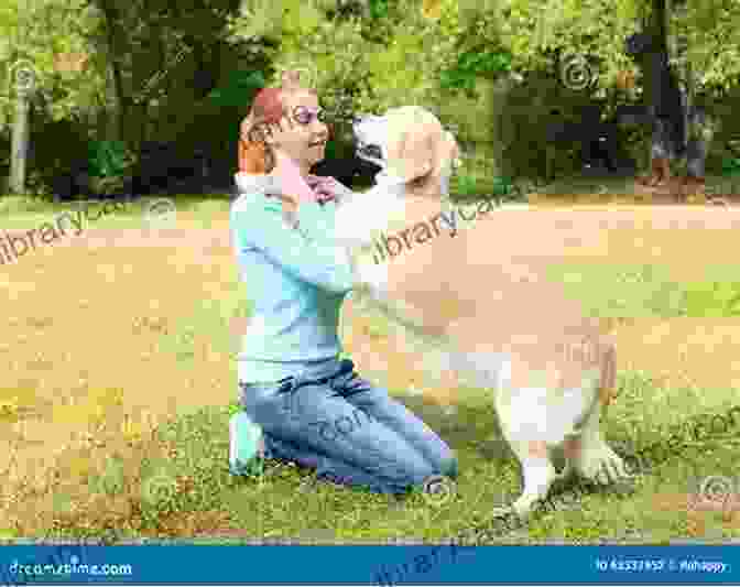 Happy Golden Retriever Puppy Playing With Its Owner The Complete Golden Retriever Handbook (Canine Handbooks)