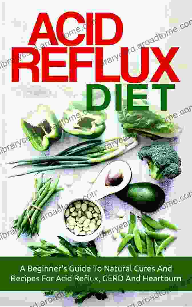 Healthy Healing Diet Recipes To Relief Heartburn Bloating Book Cover The New Dummies Indigestion Cookbook: Healthy Healing Diet Recipes To Relief Heartburn Bloating