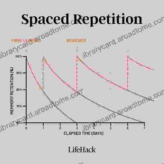 Image Of A Person Using Spaced Repetition To Review Russian Vocabulary Keeping Russian Words In Mind Forever: Never Forget Proven Way Of Memorizing Russian Vocabulary To Recall It Instantly (Word #50: Bear)