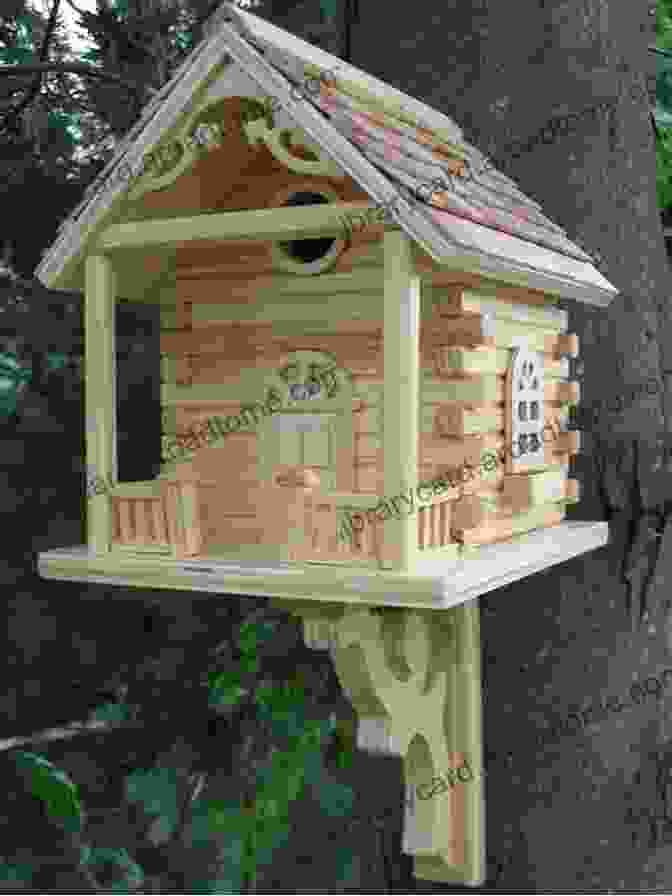 Log Cabin Bird House Birdhouse Plans: 11 DIY Bird House Building Ideas You Can Build To Attract And Retain Birds Plus Tools Placement And Maintenance Tips To Get You Started