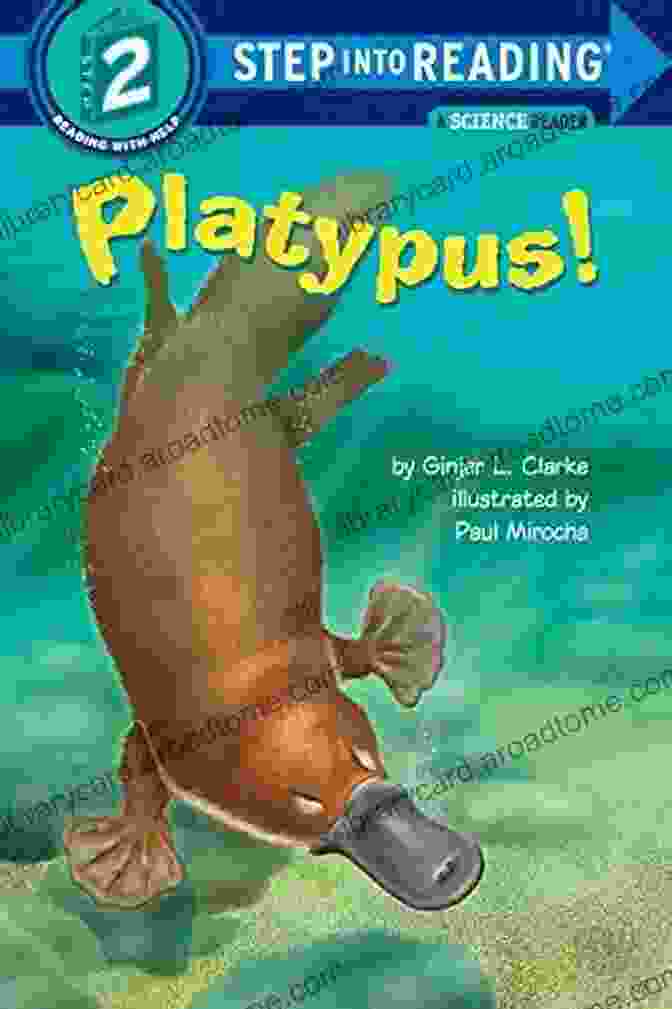 Platypus Conservation Platypus (Step Into Reading) Ginjer L Clarke