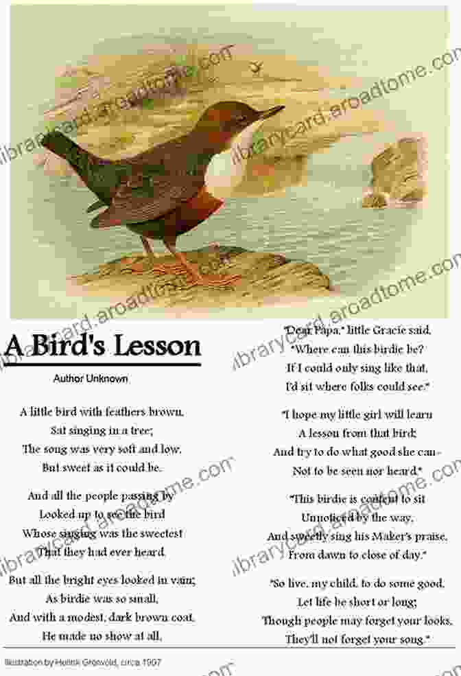 Prose Poem Illustration Featuring A Bird In Flight, Its Wings Outstretched Against A Vibrant Sunset. Stories And Prose Poems (FSG Classics)