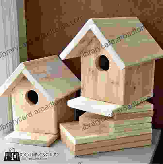 Simple Wooden Bird House Birdhouse Plans: 11 DIY Bird House Building Ideas You Can Build To Attract And Retain Birds Plus Tools Placement And Maintenance Tips To Get You Started