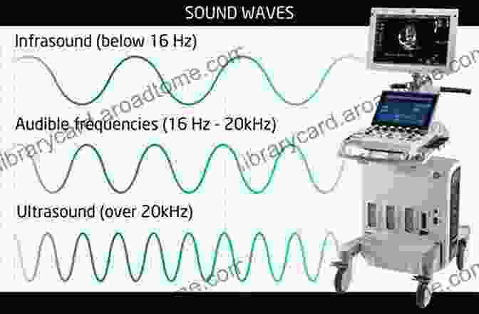 Sound Intensity Imaging In Medical Diagnostics Sound Intensity Frank Fahy