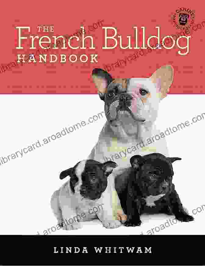 The French Bulldog Handbook Book Cover The French Bulldog Handbook: The Essential Guide For New Prospective Frenchie Owners (Canine Handbooks)