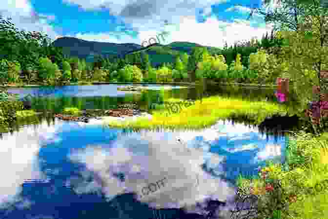 Tranquil Lake Surrounded By Lush Greenery Snowdonia: 30 Low Level And Easy Walks South: From Ffestiniog To The Dyfi And Bala To The Coast