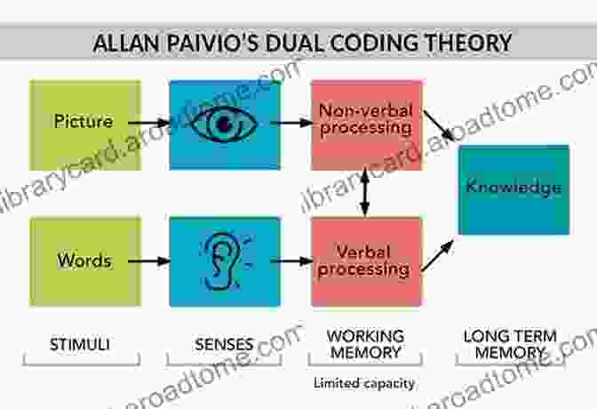 Verbal And Nonverbal Codes In The Dual Coding Theory Mind And Its Evolution: A Dual Coding Theoretical Approach