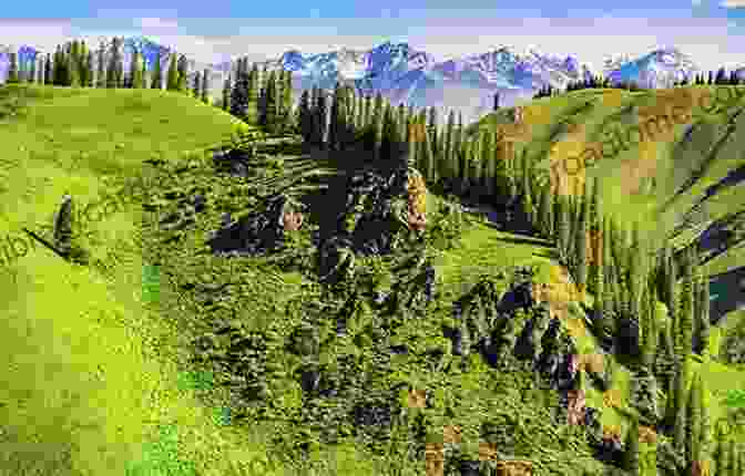 Vibrant Alpine Meadows Paint The Slopes Of The Tian Shan Mountains. Vegetation Of Central Asia And Environs