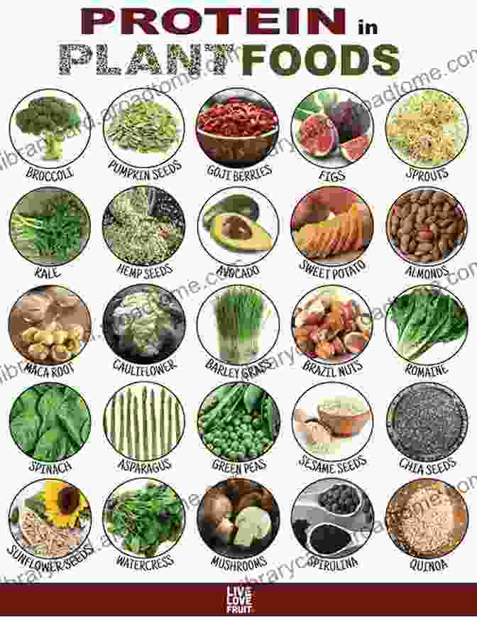 Vibrant Display Of Protein Rich Plant Foods Plant Based High Protein Cookbook: 130 Ready To Go Vegan Recipes For Athletes To Improve Athletic Performance Muscle Growth While Maintaining Vitality Energy And A Strong Body