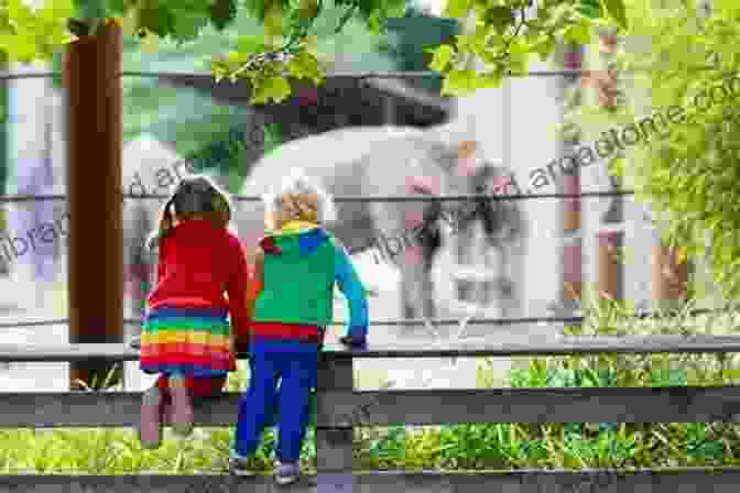 Vibrant Image Of Children Exploring A Zoo, Capturing The Excitement And Wonder Of Discovering Animal Sounds Sounds Amazing At The Zoo