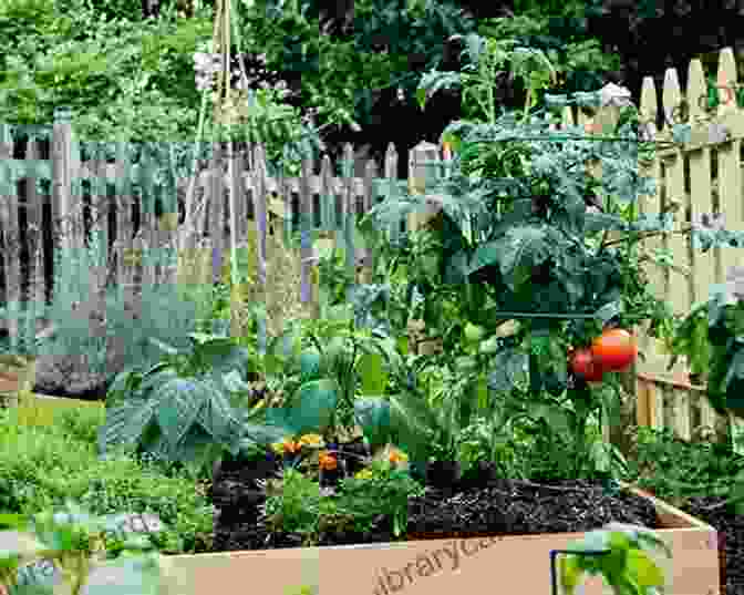 Vibrant Vegetable Garden With Rows Of Tomatoes, Peppers, And Leafy Greens The Backyard Homestead 2024: Step By Step Guide To Start Your Own Self Sufficient Mini Farm On Just A Quarter Acre With The Most Up To Date Information (Self Sufficient Survival)