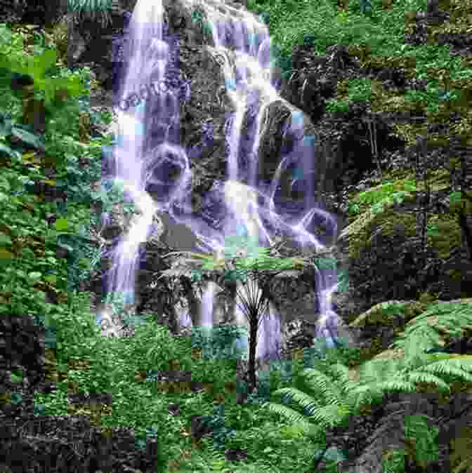 Waterfall Cascading Over Rocks In A Lush Forest Backroads Of North Carolina: Your Guide To Great Day Trips Weekend Getaways (Backroads Of )