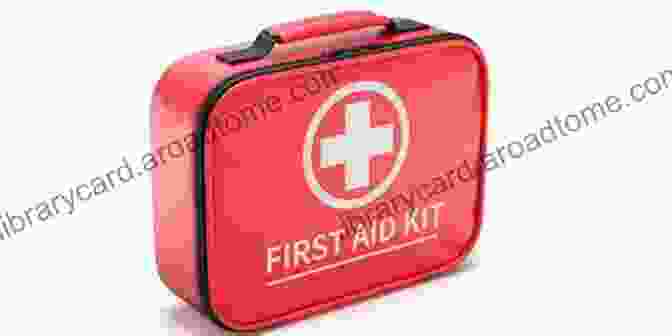 Well Stocked First Aid Kit For Treating Injuries And Illnesses In Emergency Situations Bug Out Bag Encyclopedia: Emergency Disaster Survival Preparedness