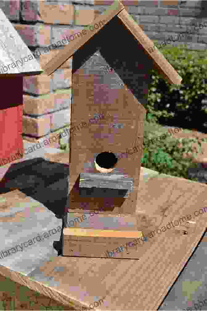 Wooden Pallet Bird House Birdhouse Plans: 11 DIY Bird House Building Ideas You Can Build To Attract And Retain Birds Plus Tools Placement And Maintenance Tips To Get You Started