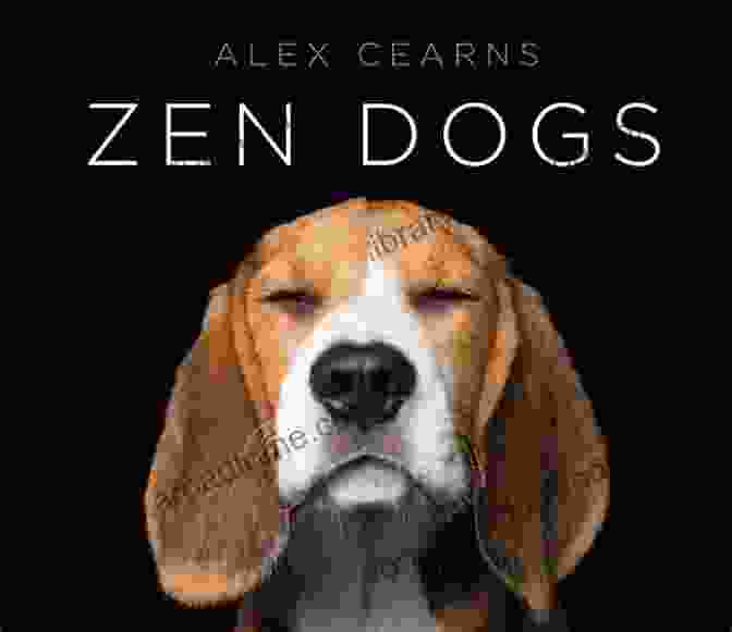 Zen Dogs Book Cover Featuring A Woman Holding A Dog Zen Dogs Alexandra Cearns