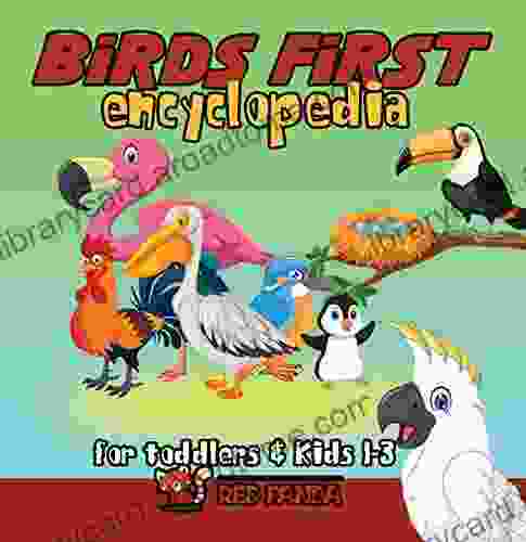 Birds First Encyclopedia For Toddlers Kids 1 3: Bird For Children Boys Girls Babies Funny First Birthday Gift Idea 1st Babyshower 2 4 3 5 6 Years