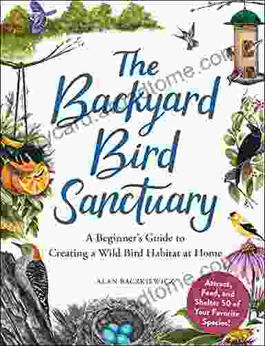 The Backyard Bird Sanctuary: A Beginner S Guide To Creating A Wild Bird Habitat At Home