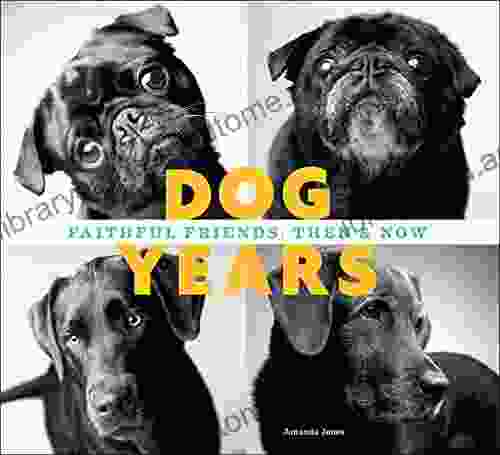 Dog Years: Faithful Friends Then Now