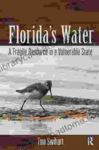 Florida S Water: A Fragile Resource In A Vulnerable State
