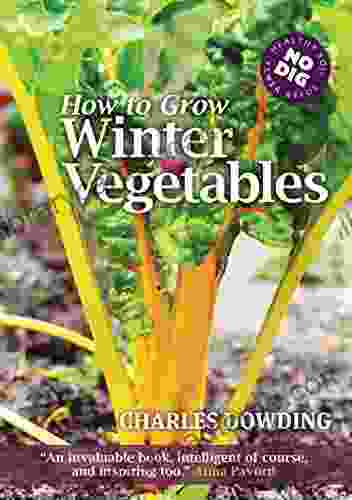 How to Grow Winter Vegetables