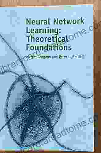 Neural Network Learning: Theoretical Foundations