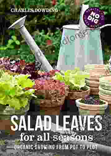 Salad Leaves For All Seasons: Organic Growing From Pot To Plot