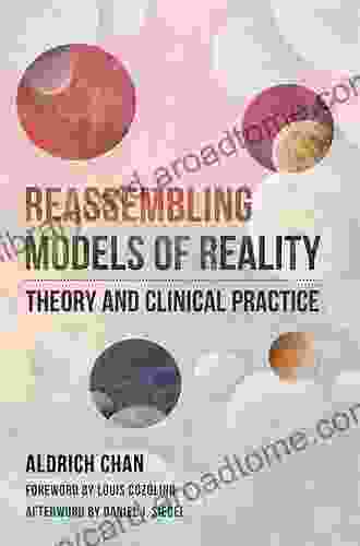 Reassembling Models of Reality: Theory and Clinical Practice (Norton on Interpersonal Neurobiology)