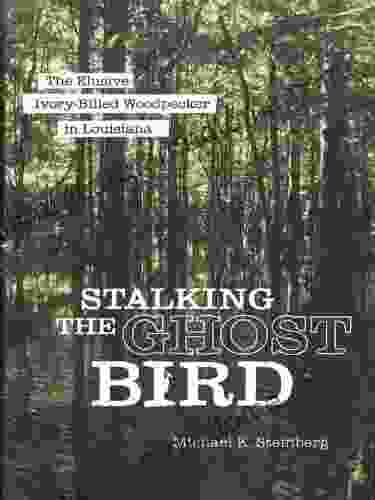 Stalking The Ghost Bird: The Elusive Ivory Billed Woodpecker In Louisiana