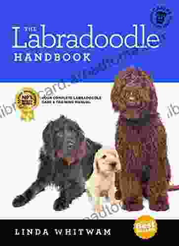 The Labradoodle Handbook: The Essential Guide For New Prospective Labradoodle Owners (Canine Handbooks)